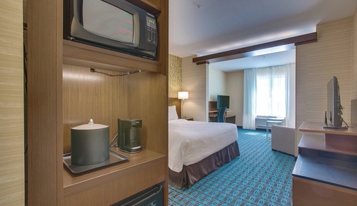 Suite, 1 King Bed with Sofa bed