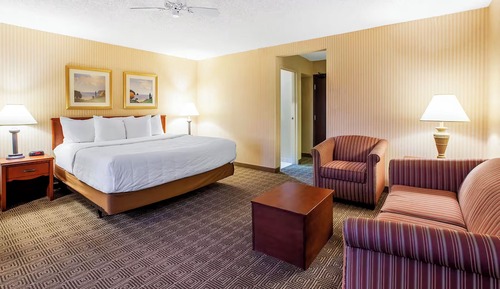 Deluxe Studio Suite, 1 King Bed, Non Smoking