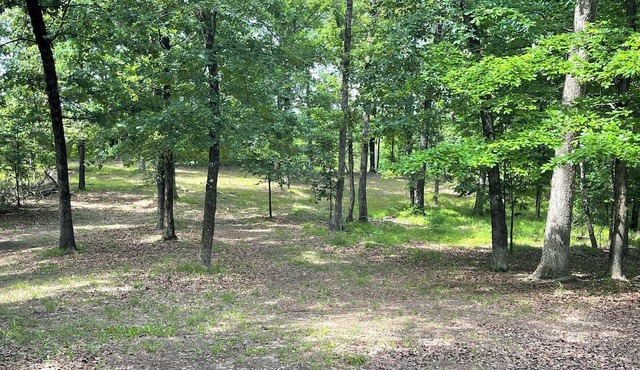 Cozy 1-bedroom + loft barndominium near DeGray Lake