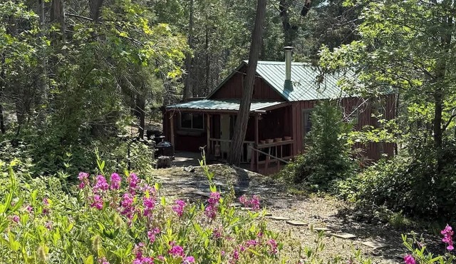 Little Cabin In The Woods/ Camp Sierra/ Big Creek